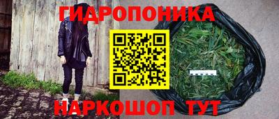 крисы Абакан