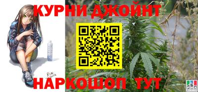 крисы Абакан