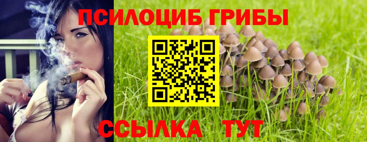Псилоцибиновые грибы прущие грибы  Вход с VPN  Алейск  Галлюциногенные грибы MAGIC MUSHROOMS 